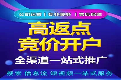 SEM推广技巧：成功案例深度剖析
